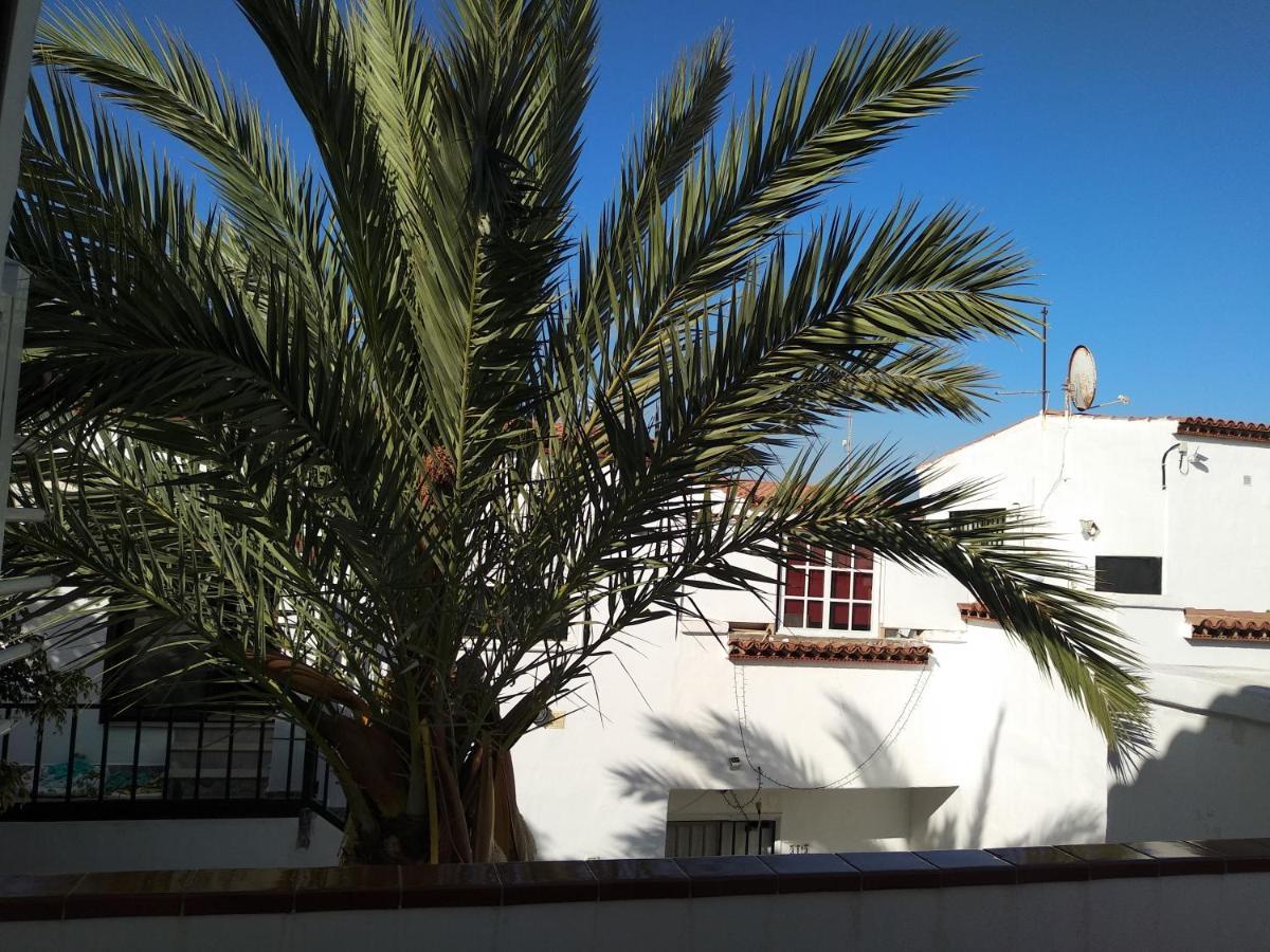 Apartamento Ama Tenerife Grande Terraza Arona  Zewnętrze zdjęcie